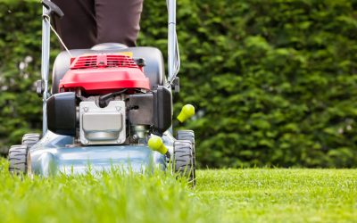 Here’s How to Choose a Lawn Mower